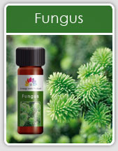Fungus Oil