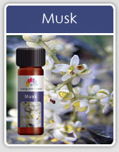 Musk Oil