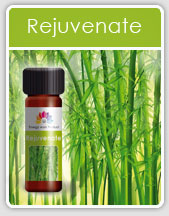 Rejuvenate Oil