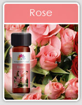 Rose Oil