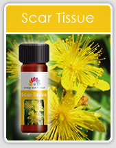 Scar Tissue Oil