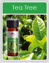 Tea Tree Oil